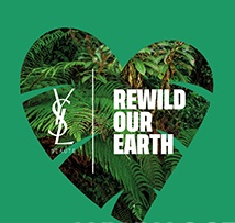 YSL圣罗兰美妆“REWILD OUR EARTH”全球计划