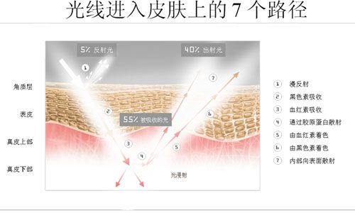 光线在肌肤上的7种传播路径